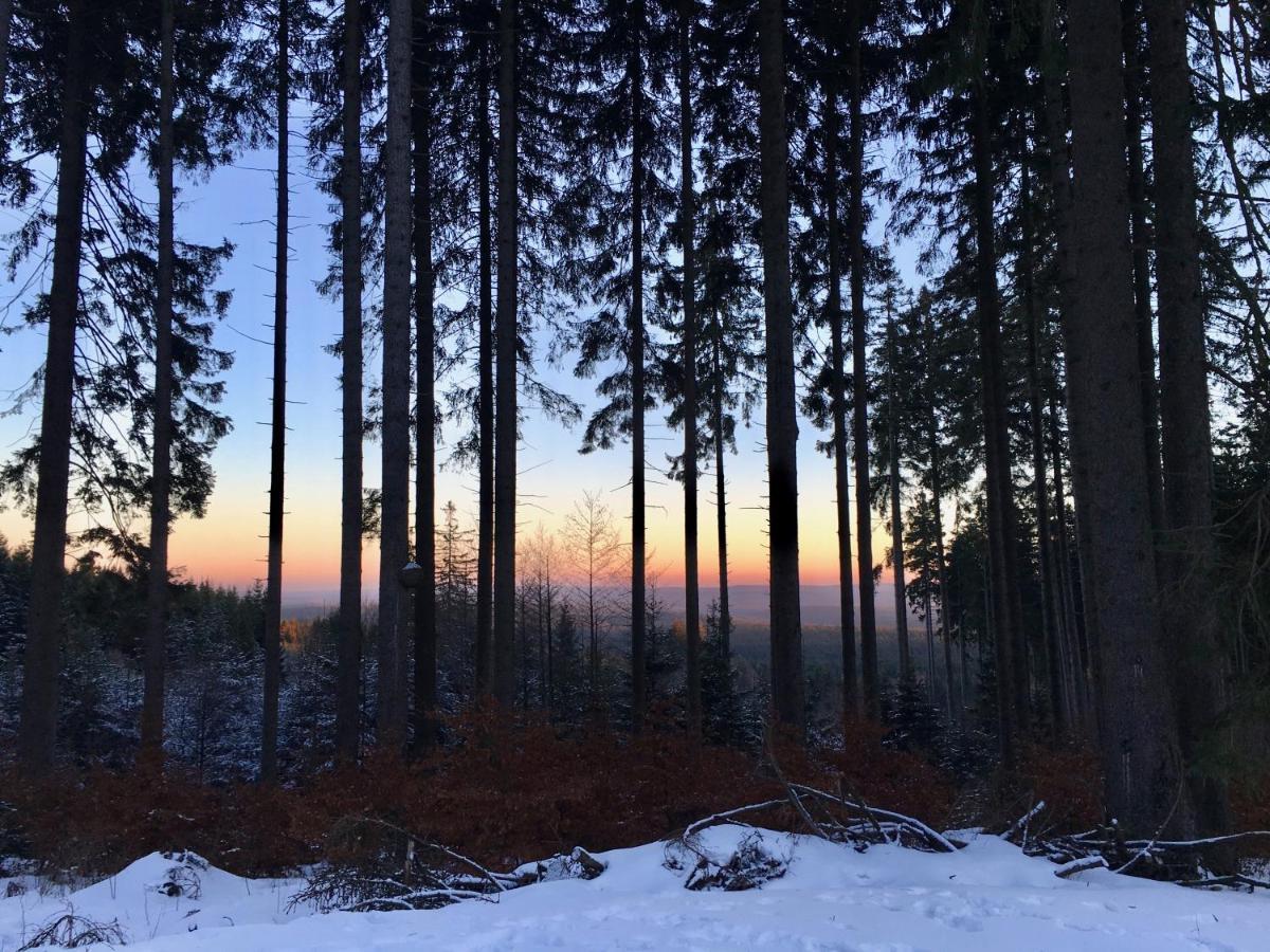 Fewo Harzromantik Braunlage Esterno foto