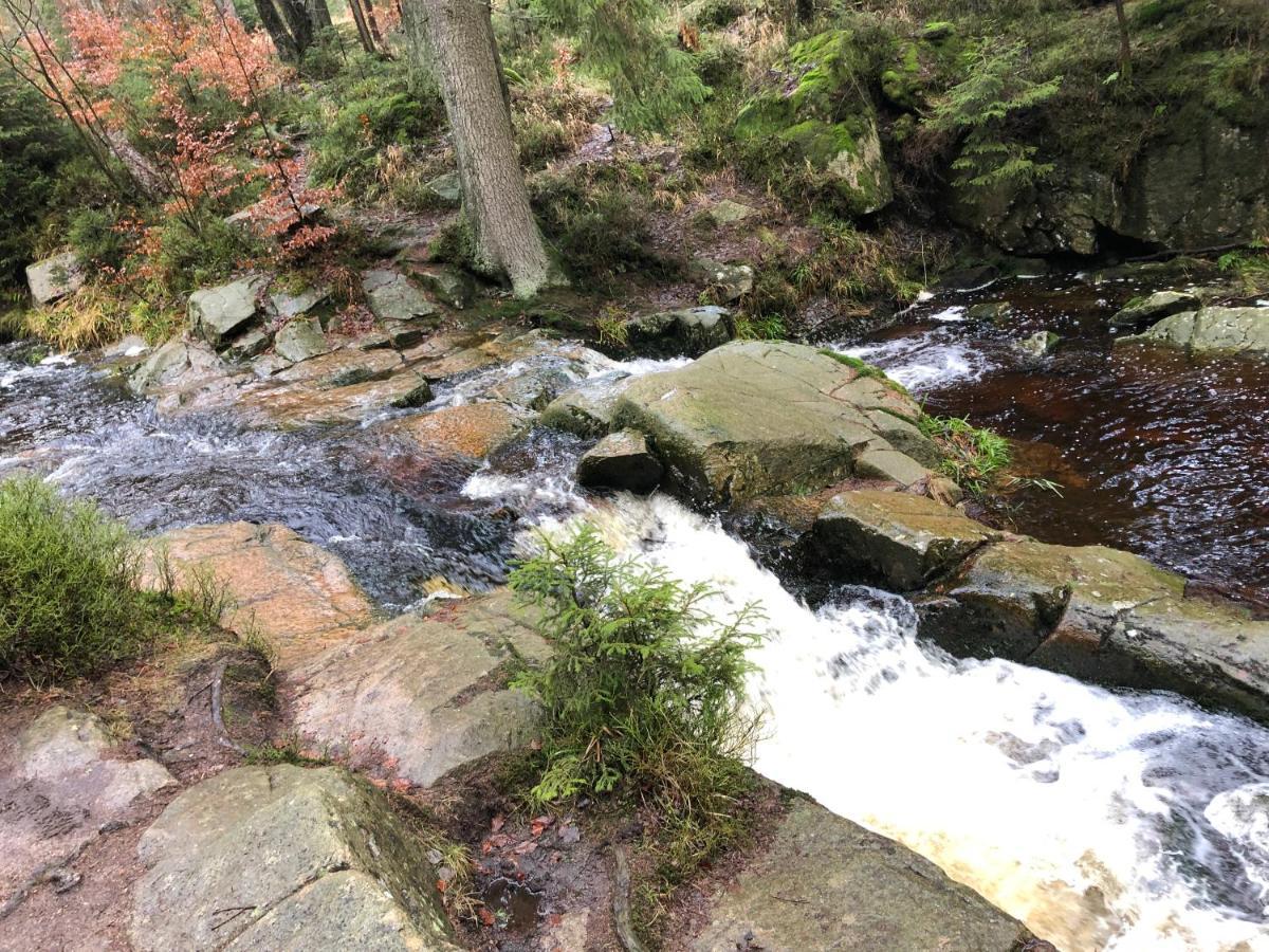 Fewo Harzromantik Braunlage Esterno foto