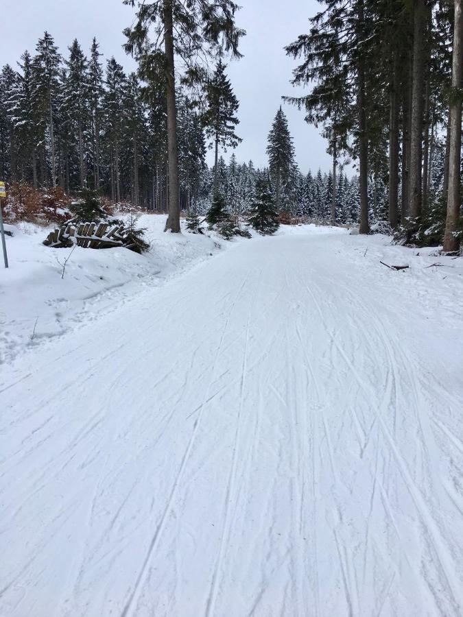 Fewo Harzromantik Braunlage Esterno foto